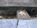 image of grave number 171322